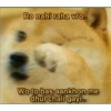 Doge hindi 2 (rf4qsmkdnp)