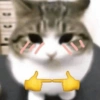 Gatos vida loka 🤪 (73tdxsv546)