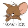 Tom & Jerry Bucin (jk9vq3sw8z)