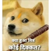 Doge hindi 2 (hnzbvfjpcs)