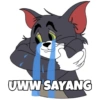 Tom & Jerry Bucin (wqj4vz98d6)