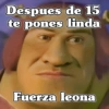 🧿Fuerza Leona💪🏻🦁 (p9btvwj286)