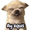 Perritos Cura Depresión🐶🐾 (kngh38sqw2)