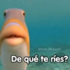 Memes Variados (f6m5b3y29d)