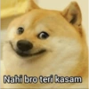 Doge hindi 2 (skcfx82hvb)