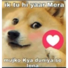 Doge hindi 2 (bwq5msg4f6)