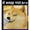 Doge hindi 2 (n8mpxhtdgb)