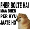 Doge hindi 2 (hyg2kjcnz5)