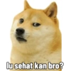 Akwkwkwk: فوضى الميمز (85by69xcph)