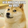 Doge hindi 2 (bxyfdm9572)
