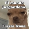 🧿Fuerza Leona💪🏻🦁 (vkd3z748ps)