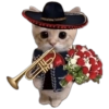 🎺Mariachi Gato🐱 💐Ramo Buchón🌹 (jrn23xyptf)