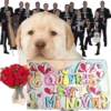 🎺Mariachi Gato🐱 💐Ramo Buchón🌹 (pqtj8gmbrn)