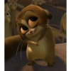 ليمور لطيف