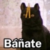🩷😍Gatitos Con Frases🥴🐈‍⬛ (rjy28tpzhk)
