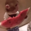 وجبة بطيخ