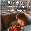 🧿 Capibaras 🌀