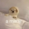 Perritos para contestar 🐕🐾 (cdhtf7r63y)