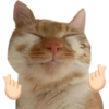 Meme Kucing Imut #4
