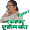 Mamata Banerjee (f3ktyjbr29)