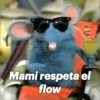 🤣•🤪Pal Grupo🤪•🤣 (xrgwsz8tcd)