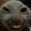 Gatitnhosfofos 😼 (z2w3tgcd7b)