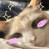 قط أحلامي ✨