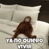 قرد الدبدوب 🐵 (r5qy4djxnm)