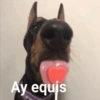 🤣•🤪Pal Grupo🤪•🤣 (cy3xh6gr2z)