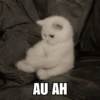 Meme Kucing Lucu 🐱 (p4gzcdmkv3)