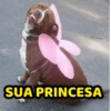 Doguinhos engraçados (p7gf2wr9ty)