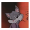 قطة غزلة