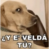 🙄Memes Random~🤣  (fvshm3kcnb)