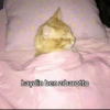 Komik şeyleğğrr (cm3yzq9xnw)
