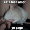 Para las girls 🌹💅👛💵✨ (985hzmw6nd)