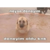 Aptallık etme (c5xhn6pstb)