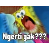 Reaksi warga bikini bottom (67w9xmp3jn)