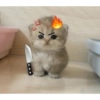 KUCING NGAMBEK (z4fq98dhyr)
