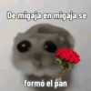 Rata triste Hámster Meme 🐹 (6cbysz7mtw)