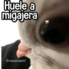 Memes Finos 2😎🪄 (gtnyd7xz32)