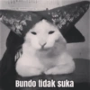Meme wa mu 🗿 (ytk7g3b2pz)