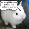 Sapecagem  (28q39yzbxm)