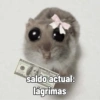 Rata triste Hámster Meme 🐹 (7phxq9zsf6)