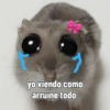 Rata triste Hámster Meme 🐹 (fj2yz8gvt5)