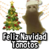 Merry Christmas Fools