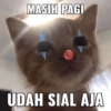 BADUT🤡 (c6s9ktw74b)