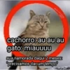 Como? (tqrs6yzhnx)