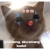 BADUT🤡 (59dtk3fxy2)