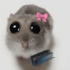 Rata triste Hámster Meme 🐹 (gw2fxtrmcd)