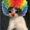 BADUT🤡 (xzmqhtp2f3)